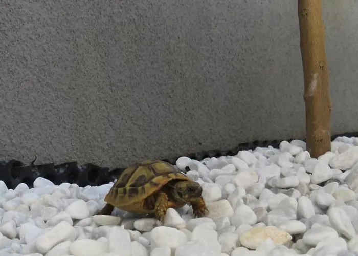 Duplex House Angela With Private Heated Pool Διαμέρισμα